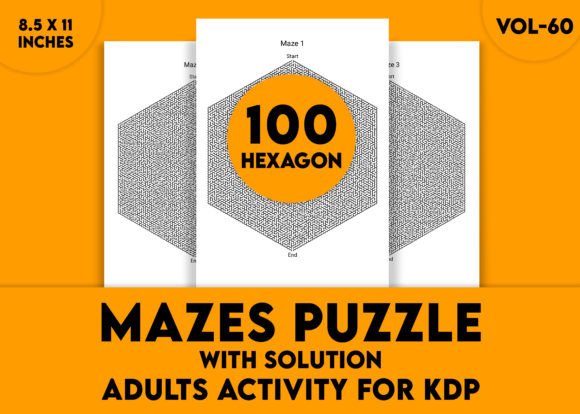 Adults Hard Hexagon Mazes Puzzles Vol-60: A Real Challenge